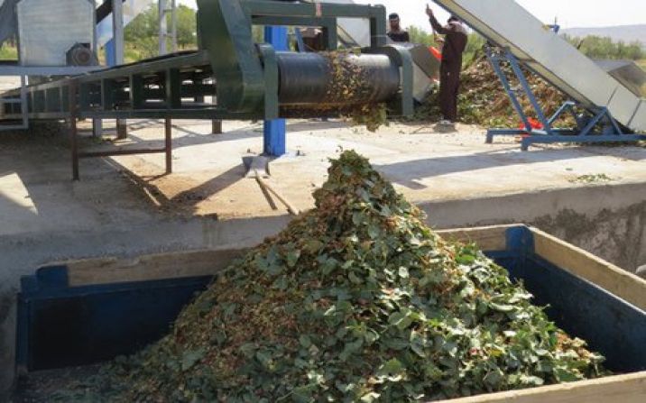 طرح استفاده از پوست پسته برای خوراک دام در قم اجرایی شد طرح استفاده از پوست پسته برای خوراک دام در قم اجرایی شد